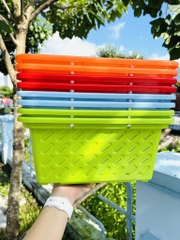 GIỎ 2 QUAI SIZE LỚN