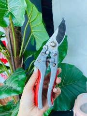 Kéo cắt tỉa cành cây Nhật Bản 210 (6)