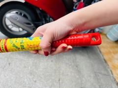 CÂY CHỔI QUÉT NHÀ XỊN HÀNG CTY (2) '