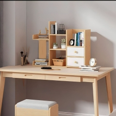 Kệ Gỗ Xương Rồng Giá Để Sách 2 Ngăn Kéo 48x40x17cm (13)