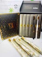 BÀN CHẢI ĐÁNH RĂNG LV - SK SANG TRỌNG (1)