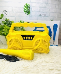 LOA KARAOKE D103 TẶNG KÈM MICRO CÓ DÂY NHIỀU MÀU (12)