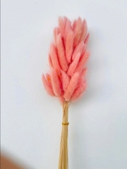 Bó Hoa Khô Decor Nhiều Màu SALE xả KHO