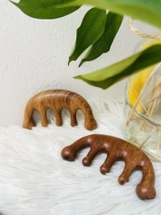 LƯỢC GỖ MASSA TRỊ LIỆU ĐÀN HƯƠNG (2)