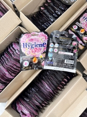 TÚI TREO THƠM HYGIENE HÀNG THÁI (3)