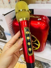Loa bluetooth karaoke A20 Mẫu Mới Nhất tặng kèm 1 micro ko dây (30)