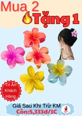 KẸP TÓC HOÁ SỨ KUTE (1)