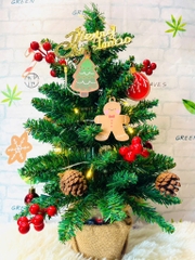 Cây Thông Noel 60cm Kèm Phụ Kiện Đèn Led Mẫu Mới (14)