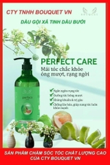 CHAI DẦU GỘI BƯỞI NGĂN NGỪA RỤNG TÓC BOUQUET CHÍNH HÃNG 500ml KÈM QUÀ TẶNG (10)