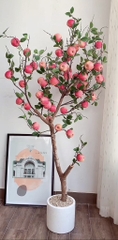 CÀNH TÁO LỚN TRANG TRÍ DECOR (3)