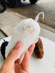 Chuột Chạy Dây Cót Cho Bé (1)