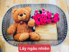 Thảm Lót Chân OVAL Bầu (1)