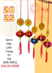 SET 5 DÂY LIỂN KP64 TREO TRANG TRÍ DECOR TẾT 2025 (2)