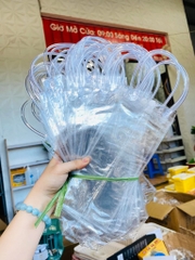 Túi Đựng Ly Giữ Nhiệt Trong Suốt (1)