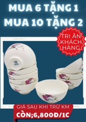 CHÉN SỨ ĂN CƠM HOA VĂN ( 10 TẶNG 2)