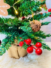 Cây Thông Noel 60cm Kèm Phụ Kiện Đèn Led Mẫu Mới (14)