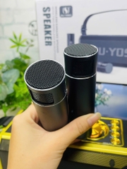 LOA KARAOKE BLUETOOTH YS-228 HIFI DJ TẶNG KÈM 2 MICRO KHÔNG DÂY CÓ ĐÈN LED RGB SIÊU ĐẸP CỰC HAY XÁCH TAY CHÍNH HÃNG (60)
