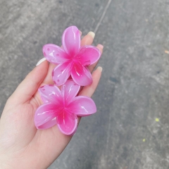 KẸP TÓC HOÁ SỨ KUTE (1)