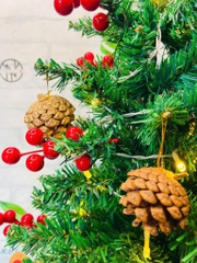 Cây Thông Noel 60cm Kèm Phụ Kiện Đèn Led Mẫu Mới (14)