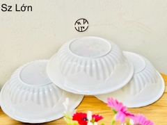TÔ NHỰA TRẮNG HOA SIZE LỚN (NO101, SỐ9)