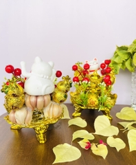 THÁP TỎI - ĐẬU - THẦN TÀI SỐ 17 CHƯNG PHONG THUỶ (7)