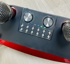 LOA KARAOKE BLUETOOH YS202 TẶNG KÈM 2 MICRO KHÔNG DÂY CỰC HAY (60)