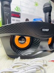 Loa Karaoke SD306 Bản S Mắt Cú Tặng Kèm 2 Mic Ko Dây Cực Hay (60)