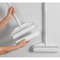 CÂY LĂN BỤI CÁN DÀI SIZE 24cm (4)