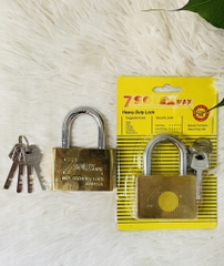 Ổ Khóa Zsolex 6 Phân (60mm)Thường (3)