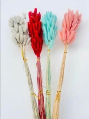 Bó Hoa Khô Decor Nhiều Màu SALE xả KHO