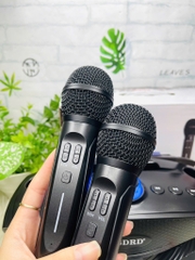 Loa Karaoke SD306 Bản S Mắt Cú Tặng Kèm 2 Mic Ko Dây Cực Hay (60)