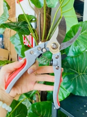 Kéo cắt tỉa cành cây Nhật Bản 210 (6)