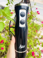 Máy Xay Sinh Tố Xay Thịt Cầm Tay Thế Hệ Mới 300W ALIZZ 8009 CHÍNH HÃNG (20)