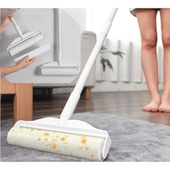 CÂY LĂN BỤI CÁN DÀI SIZE 24cm (4)