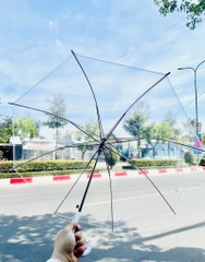 Dù Đi Mưa Trong Suốt (2)