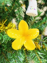 KẸP TÓC HOÁ SỨ KUTE (1)
