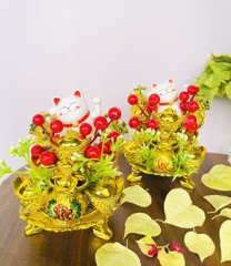 THÁP TỎI - ĐẬU - THẦN TÀI SỐ 17 CHƯNG PHONG THUỶ (7)