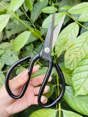 KÉO CẮT CÁN ĐEN SIZE 21cm (1)