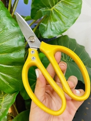 Kéo Cắt Nhật SK5 Cán Nhựa Xịn Chuẩn Jaban (2)