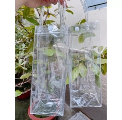 Túi Đựng Ly Giữ Nhiệt Trong Suốt (1)