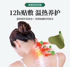 MIẾNG DÁN VAI CỔ GÁY (3) '