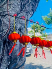 LỒNG ĐÈN TRÁI BÍ ĐỎ DECOR TẾT (0.5)