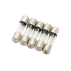 Bộ 100 Cái 4A - Cầu Chì Ống 6x30mm 250V