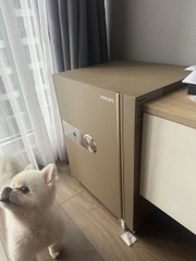 Philips Két Sắt Thông Minh SBX202 - 5C0 50kg