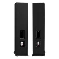 Paramax Loa Nghe Nhạc & Karaoke EURO 8 Limited