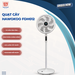 Hawonkoo Quạt cây FDH012 - Công suất 25W