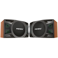 Paramax Loa Karaoke 10-Inches P1500