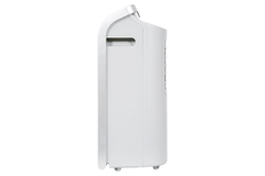Sharp Máy hút ẩm DW-D20A-W (50m2)