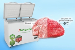 Tủ đông mềm Kangaroo KG399DM1