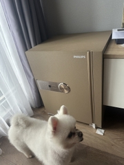 Philips Két Sắt Thông Minh SBX202 - 5C0 50kg